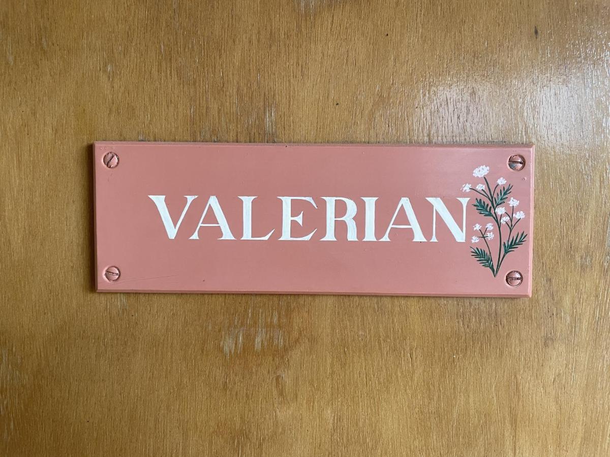 Apartment Valerian *
